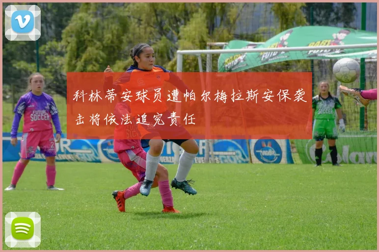 科林蒂安球员遭帕尔梅拉斯安保袭击将依法追究责任